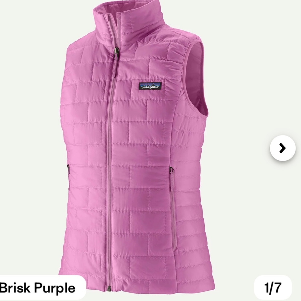 Patagonia Women's Nano Puff Vest Color Brisk Purple
